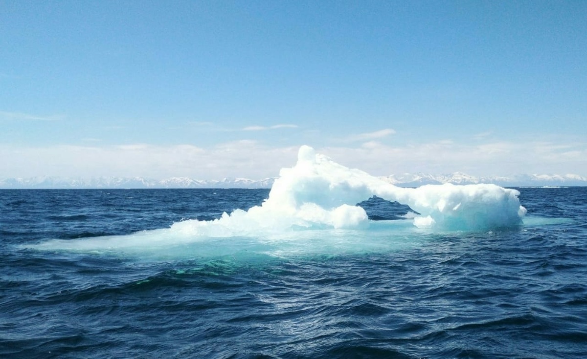 Фото: Юрий Гороховский