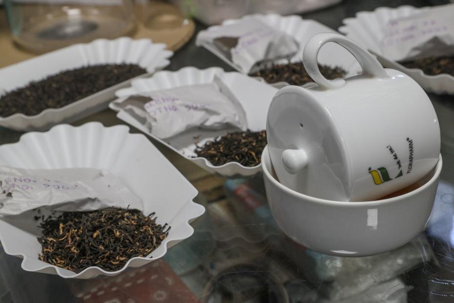    Сергей Булкин/NEWS.ru