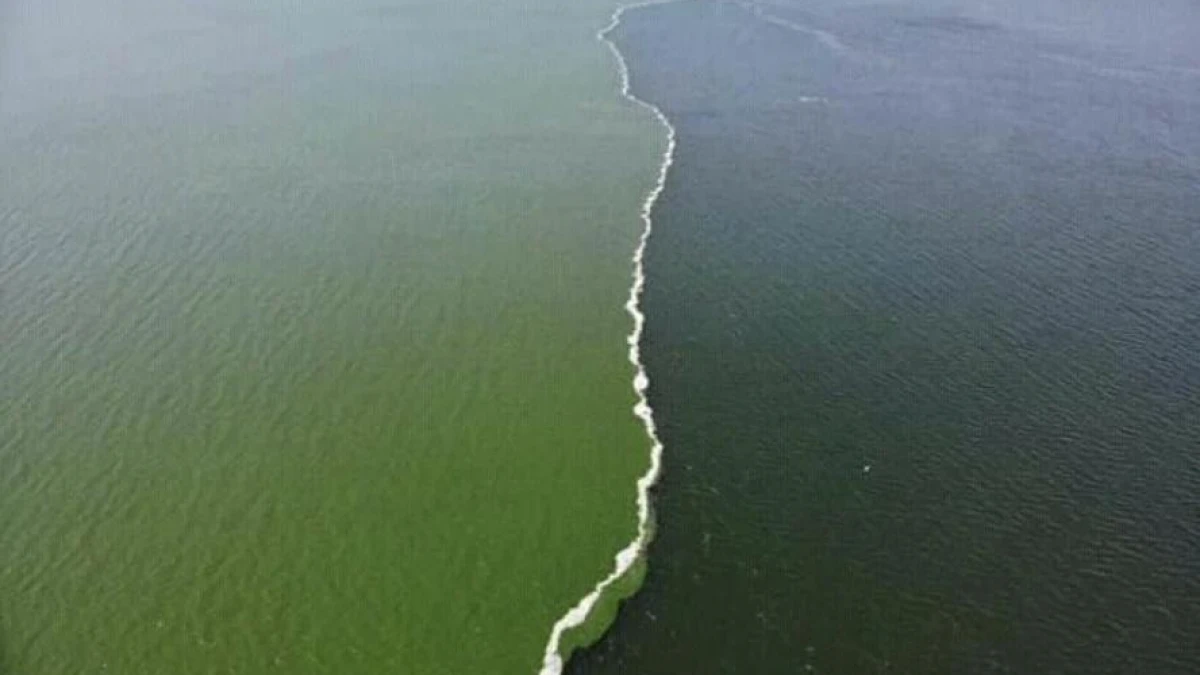 Граница между тихим и атлантическим океаном. Из-за разной солености они не спешат смешиваться.