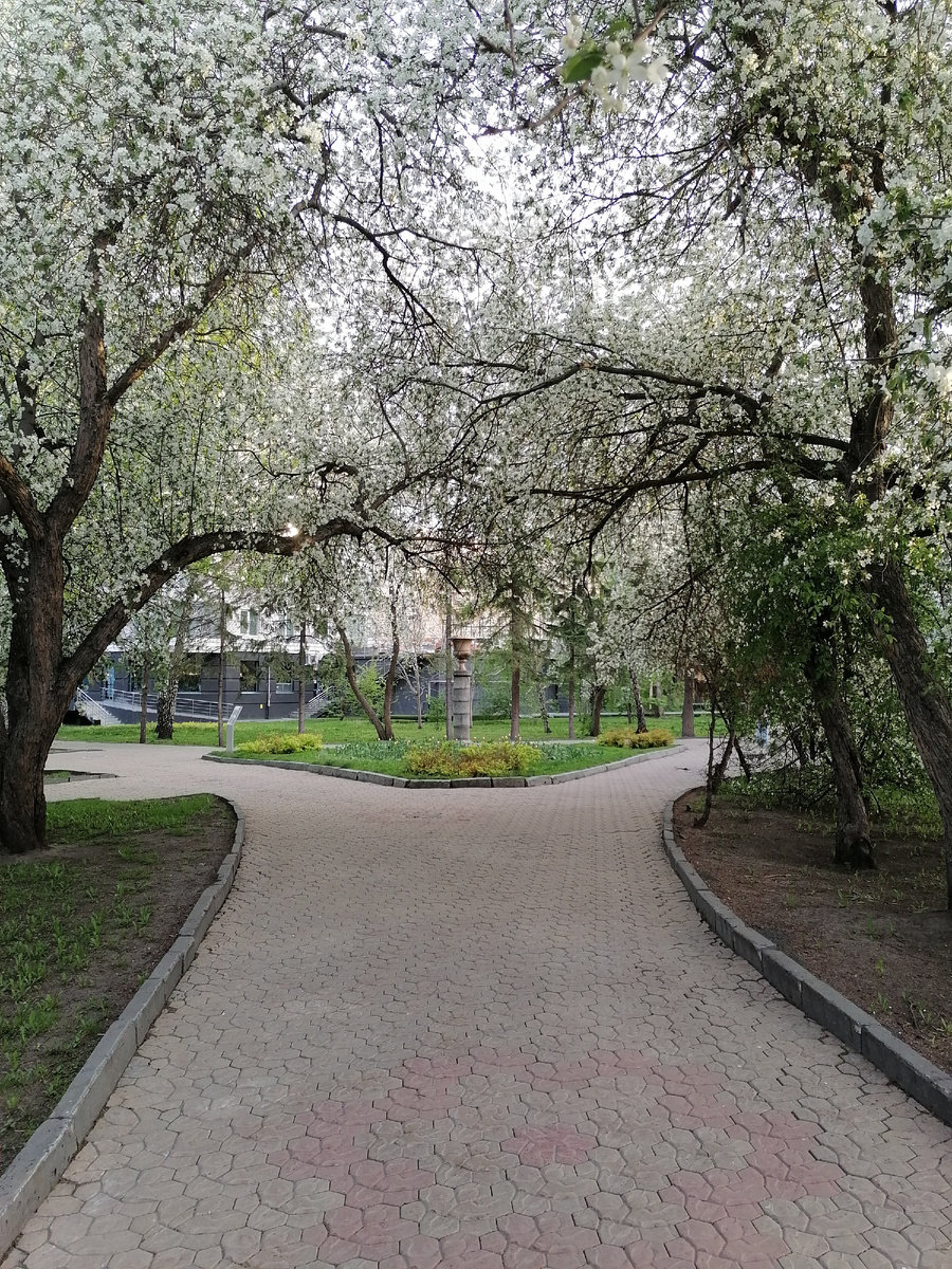 Набрели со знакомой на такую вот красоту