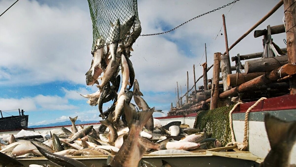     Источник: 1MI