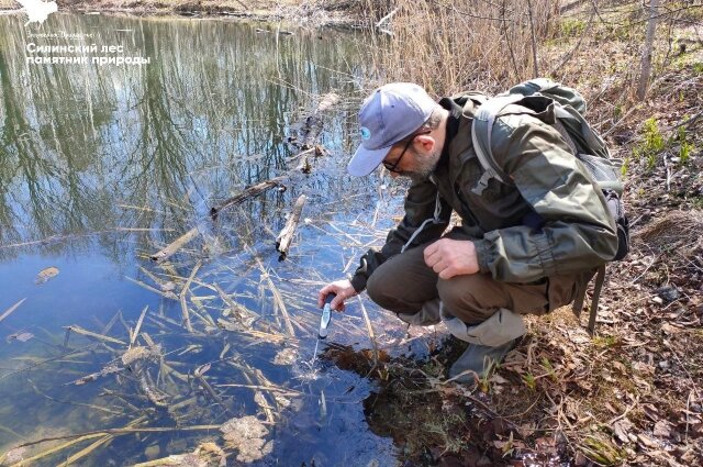   Вадим Бобровский, Комсомольский заповедник. Фото: телеграм-канал Комсомольский заповедник