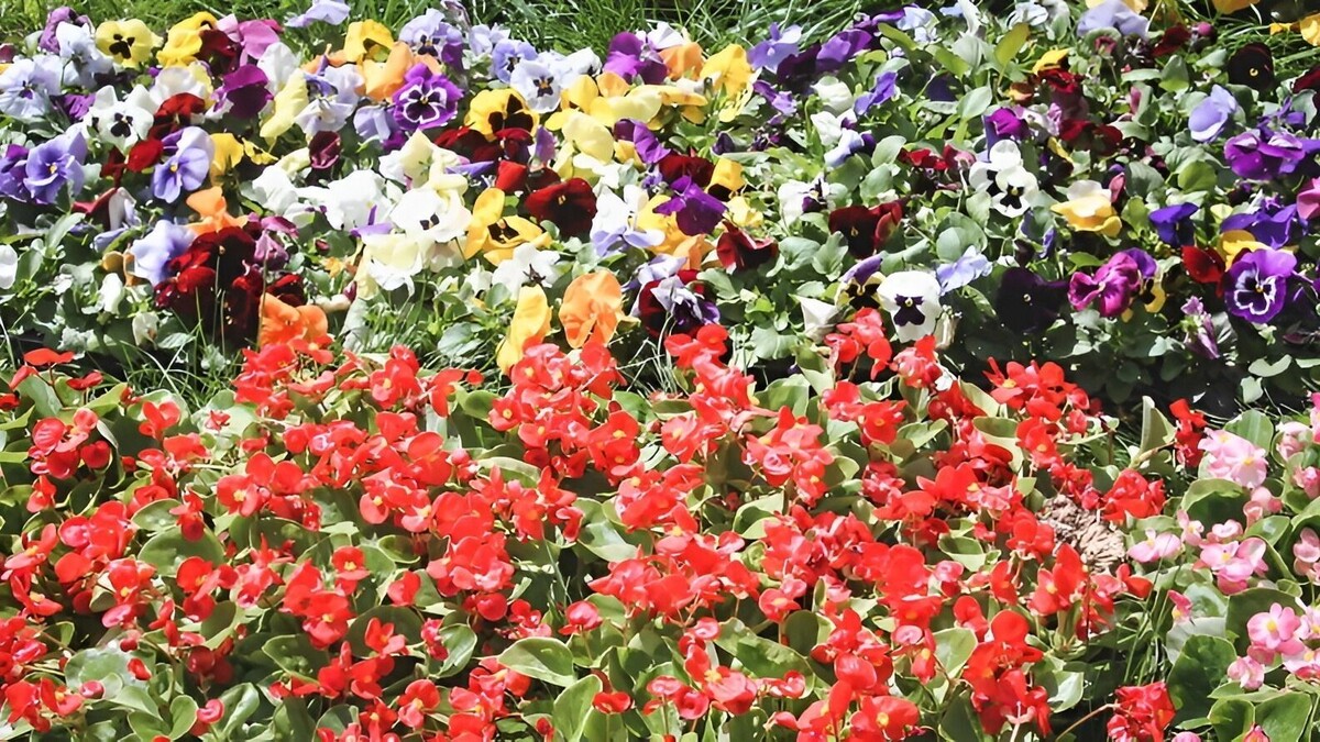     Источник: 1MI