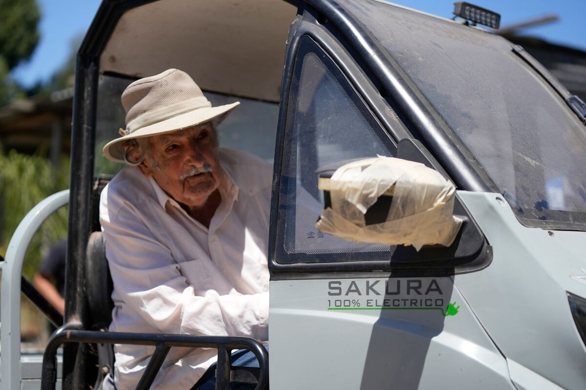     / Источник: © Nicolas Celaya/Global Look Press