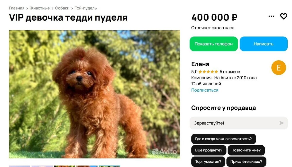     Источник: Скриншот сайта Авито