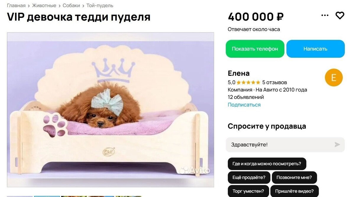     Источник: Скриншот сайта Авито