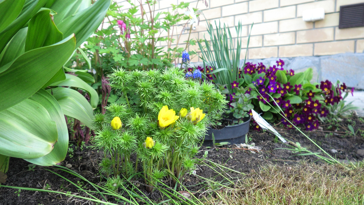 Фото автора канала Дом с кипарисом