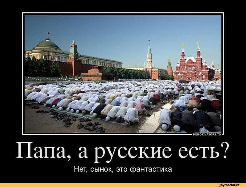 Картинка из открытых источников.