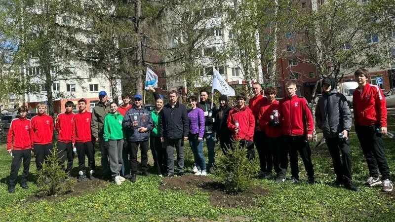     В городе высадили 10 елей в честь 80-летия Великой Победы. Фото: Елизавета Попова.