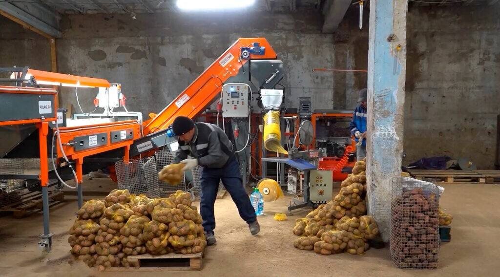 Фото: Разгрузка картофеля / тг-канал губернатора Магаданской области Сергея Носова