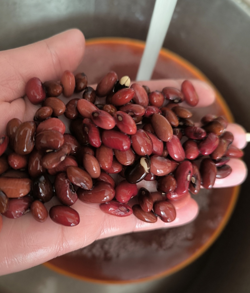 Все фотографии в статье авторские. 