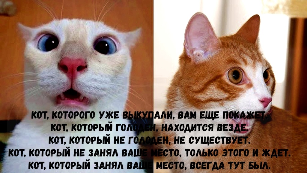Коллаж автора, текст - Т. Суслова