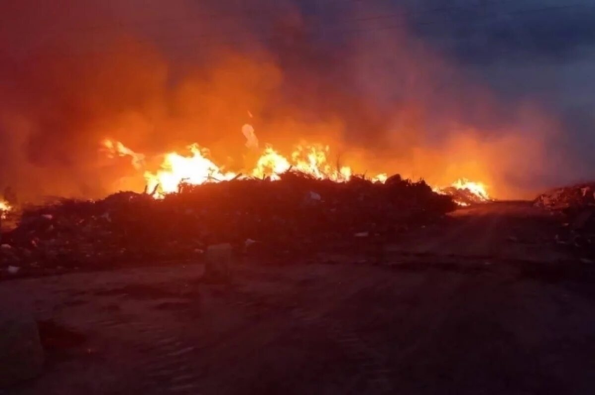    Под Пензой организовали проверку по факту возгорания коммунальных отходов