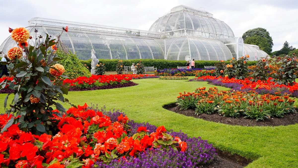 Где цветы рассказывают истории мира и красоты.