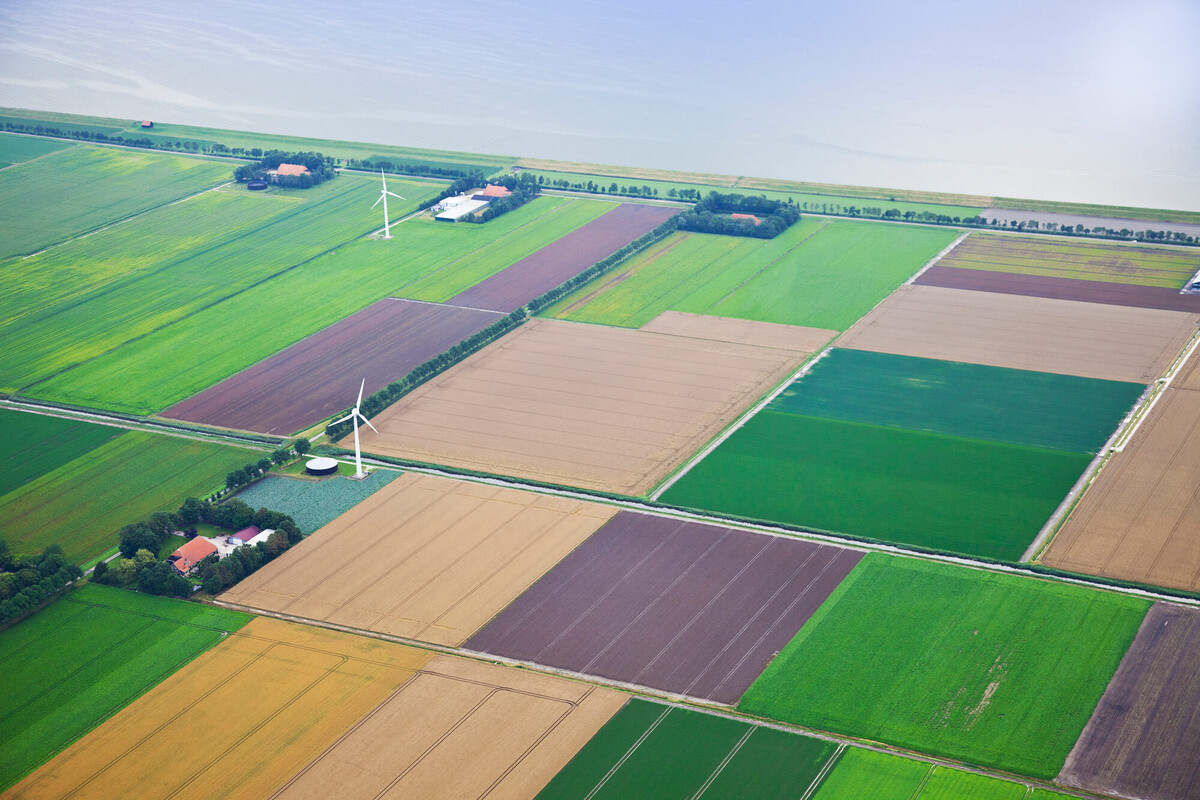 Земля сельхоз назначения