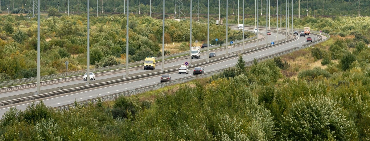    Автор фото: Михаил Тихонов / "ДП"