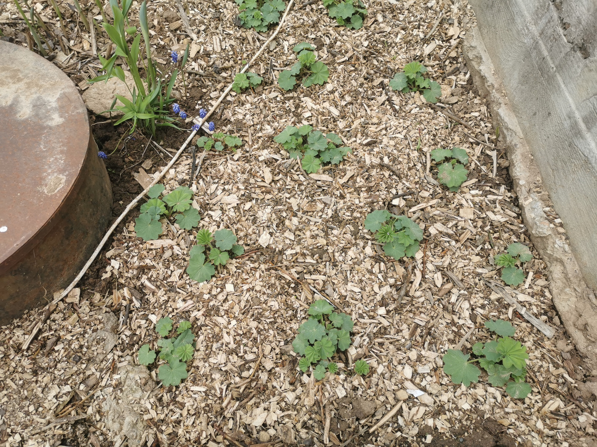 Манжетка у скважины