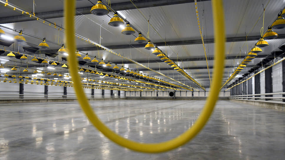 ...средняя ставка аренды в сегменте light industrial составляет 1,1 тыс. рублей за кв. м в месяц, однако на рынке наблюдается дефицит предложения с готовыми инженерными мощностями.📷Фото: Александр Коряков / Коммерсантъ