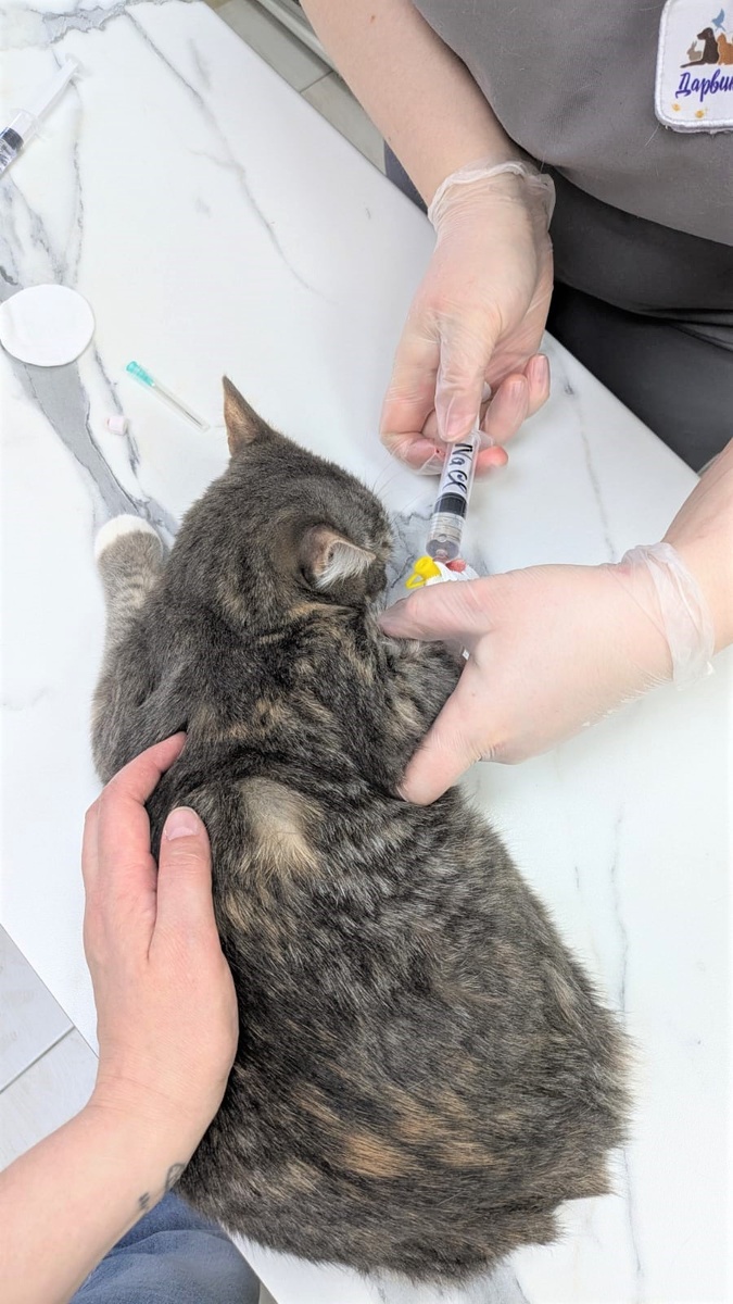 Фото из архива Анны МИШУРЫ.