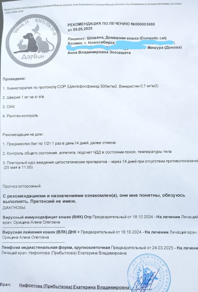 Фото из архива Анны МИШУРЫ.