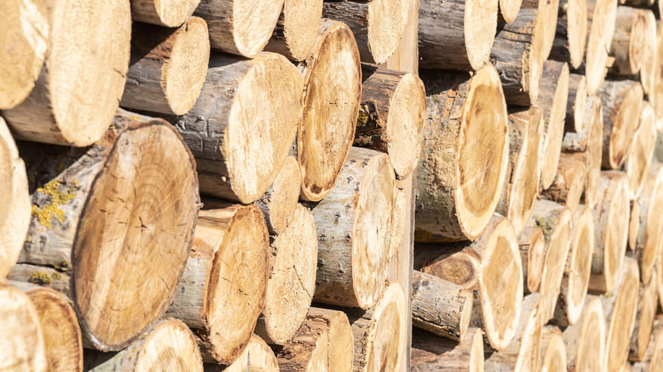 Фото: Игорь Елисеев / Коммерсантъ