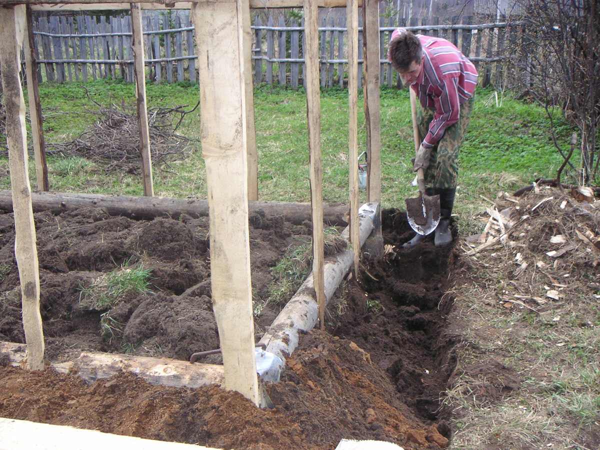 Пытливый взгляд заприметит за старым забором, на месте которого сейчас стоит гараж, молодые ёлки и сосну, макушки которых мы прошлой осенью убирали.