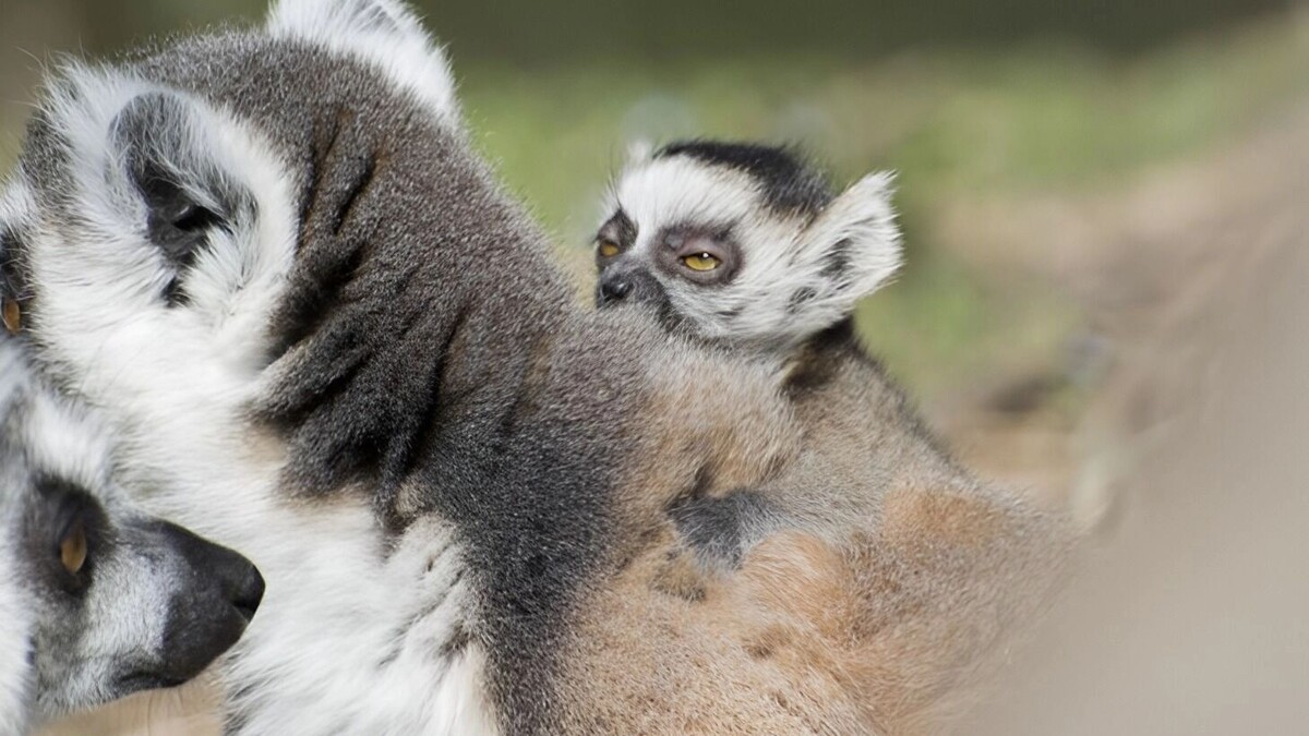     Источник: freepik.com