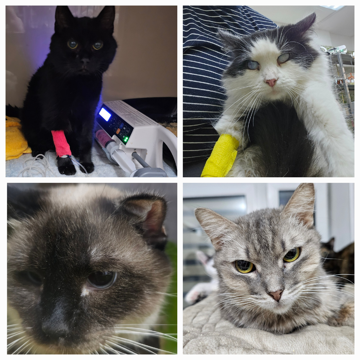 Часть заболевших