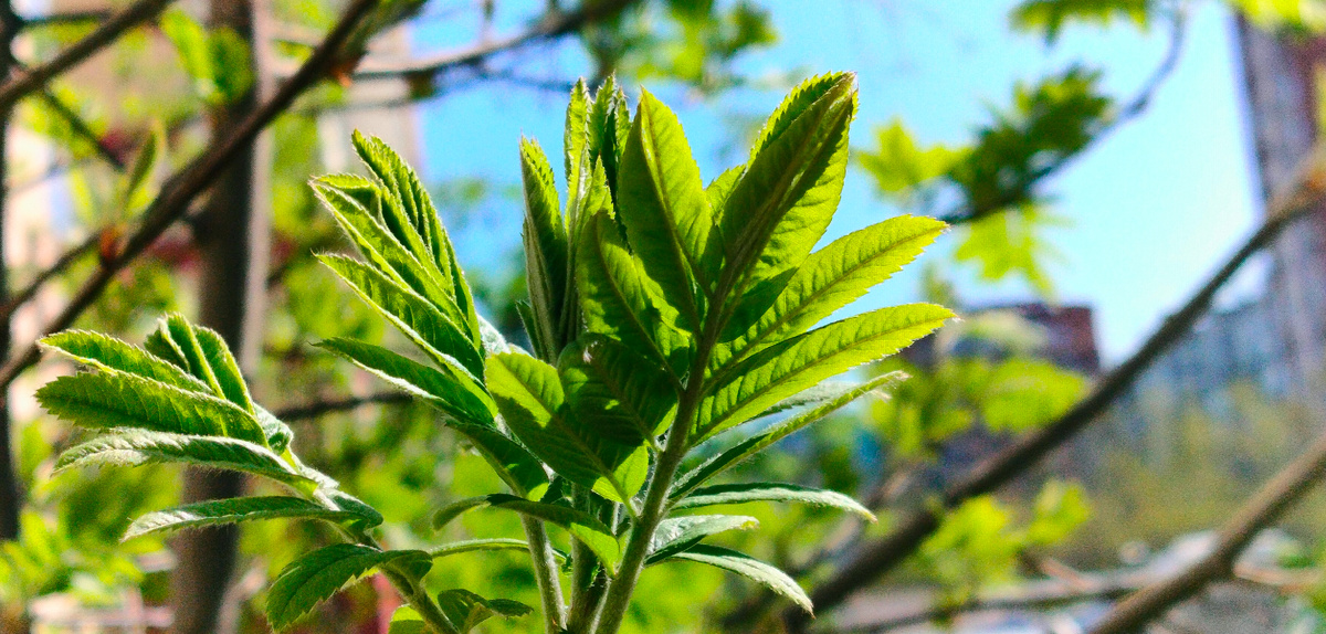 Не упускайте случая делать добро — если это не грозит вам большим ущербом. Марк Твен