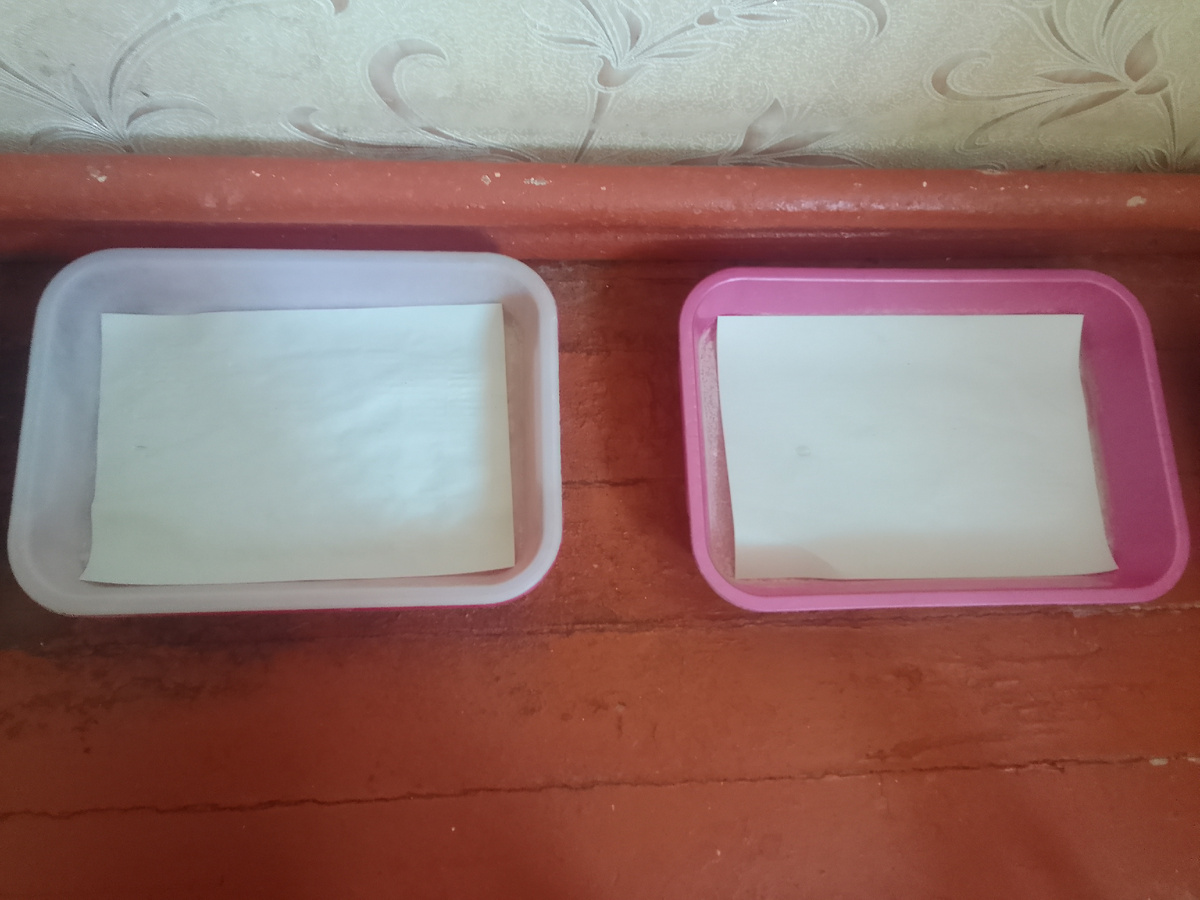 Два чистых лотка с бумагой из восьми лотков для восьми кошек и котов.