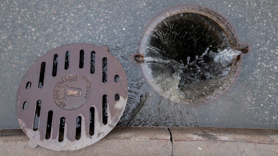    Автор фото: Сергей Ермохин / "ДП"