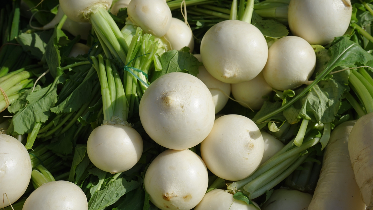 Репа – кладезь пользы