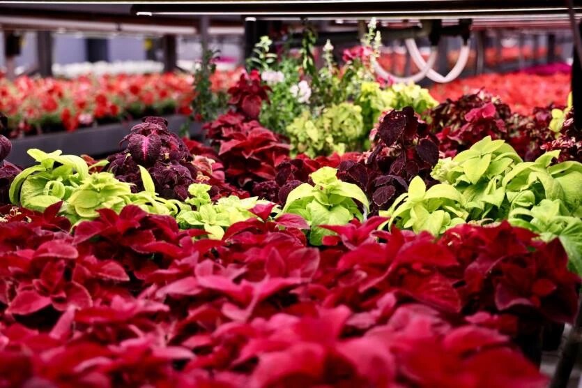 Фото: Юлия Боровикова