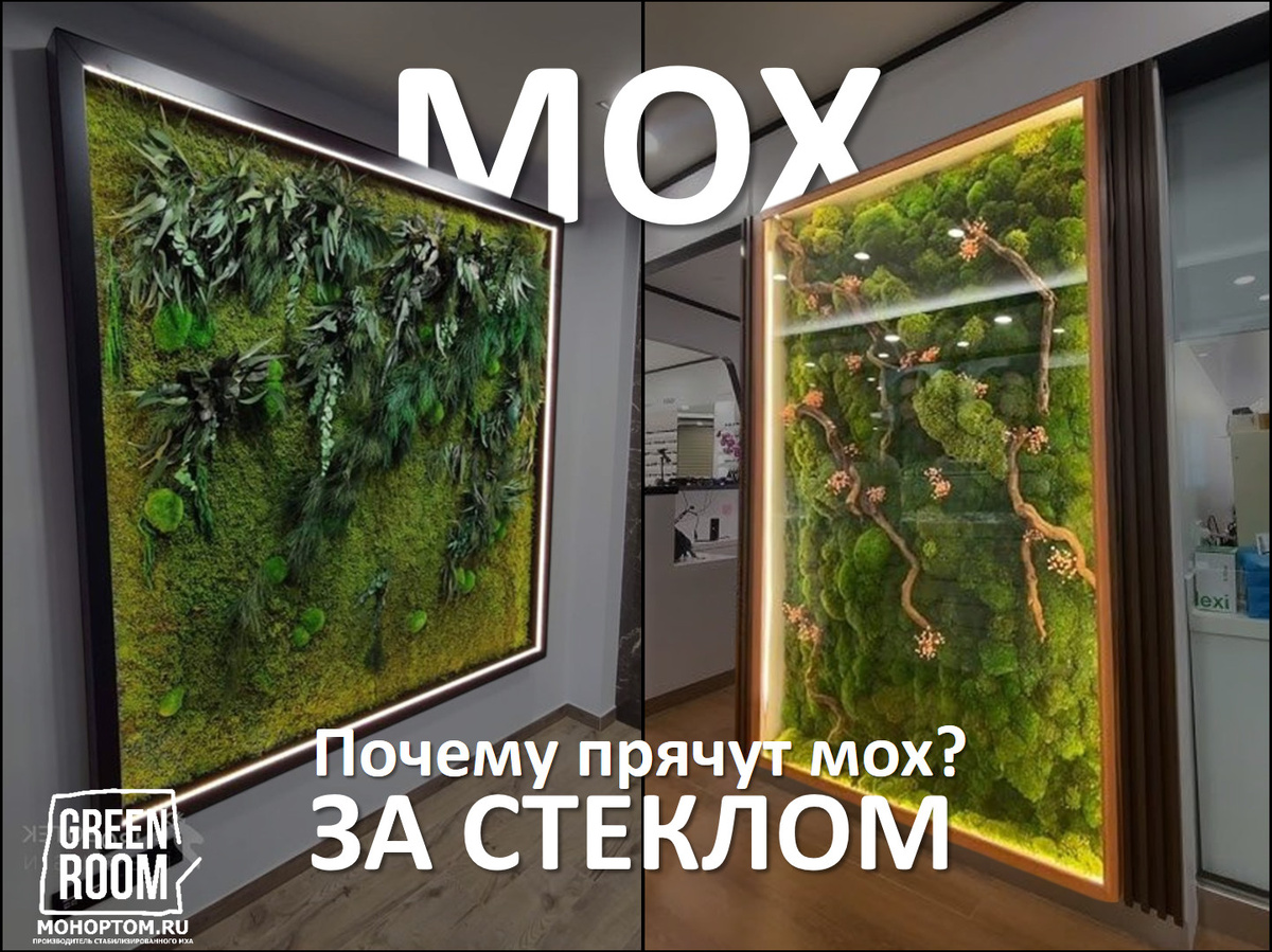 Фито-картины из мха и стабилизированных растений без стекла и за стеклом в интерьере. 
