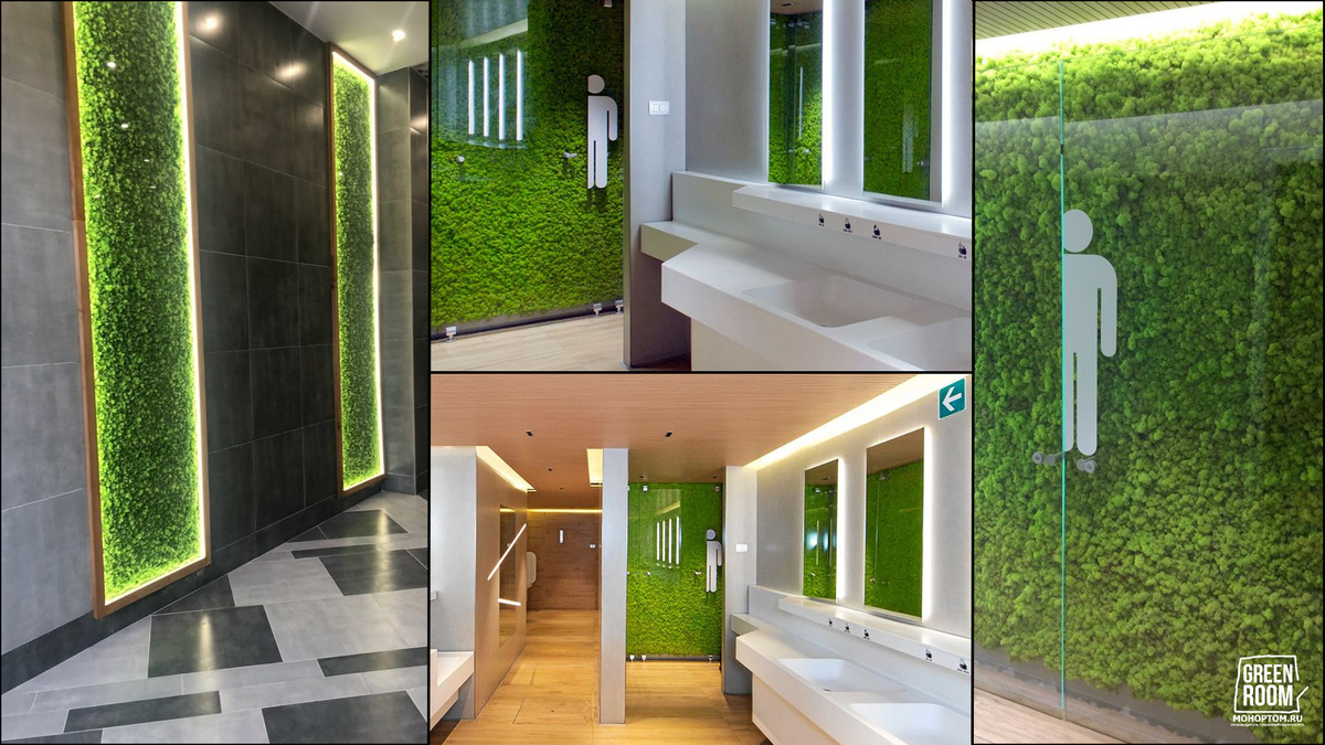 Мох за стеклом в местах отсутствия камер видео наблюдения и публичного доступа 