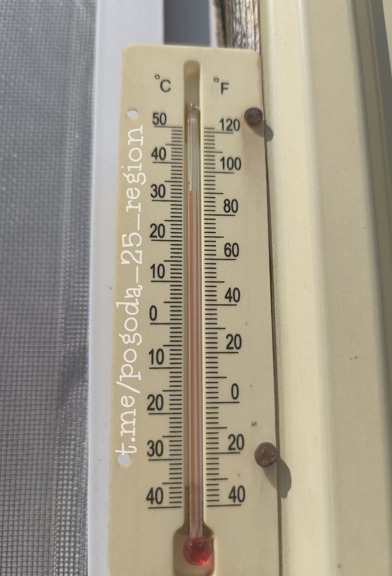     Источник: pogoda_25_region