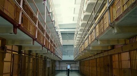 Фото из свободного доступа в интернет 