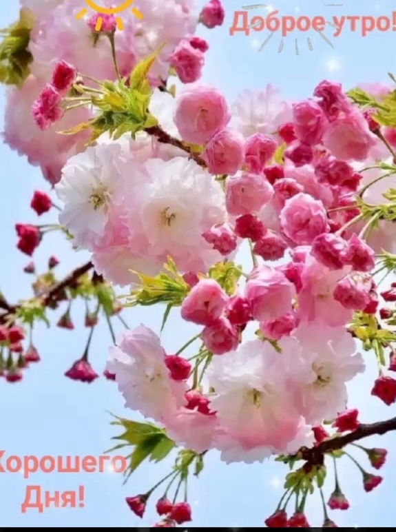 Фотография сделана автором 