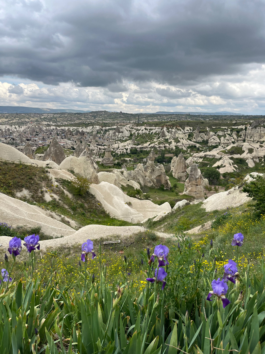Фото автора канала.