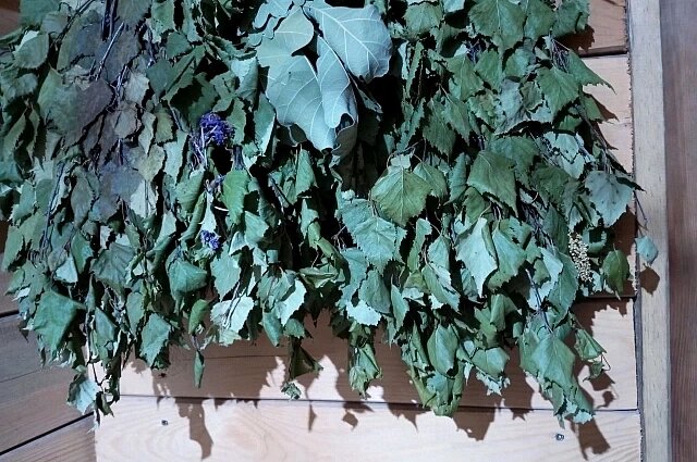    Веники нужно правильно хранить. Фото:  АиФ/ Евгения Гаева