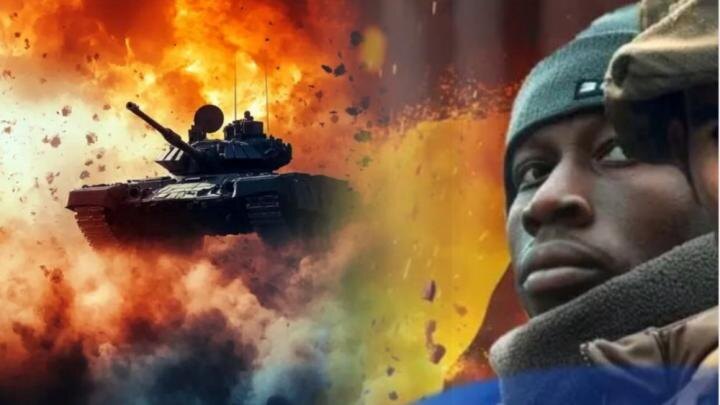 Коллаж: Novorosinform