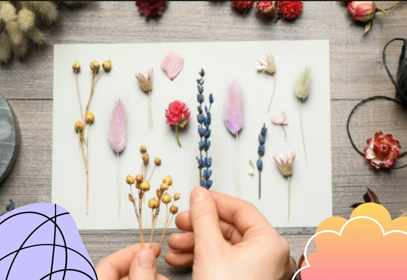 Shutterstock/FOTODOM