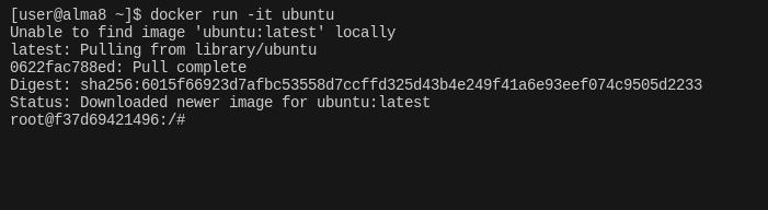 Пример запуска контейнера Ubuntu в интерактивном режиме