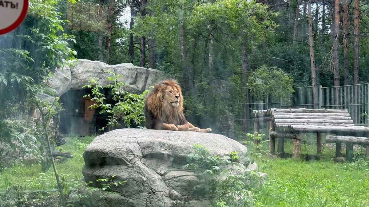     Автор: Эмилия Губарева Источник: atas.info