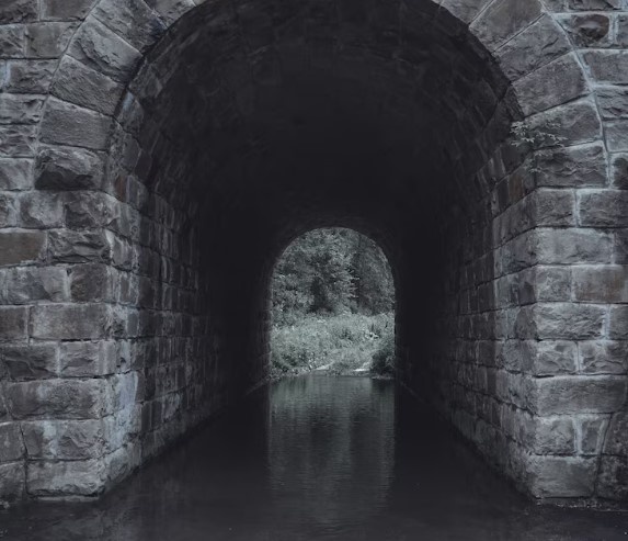    Фото: freepik.com Анфиса Слепцова