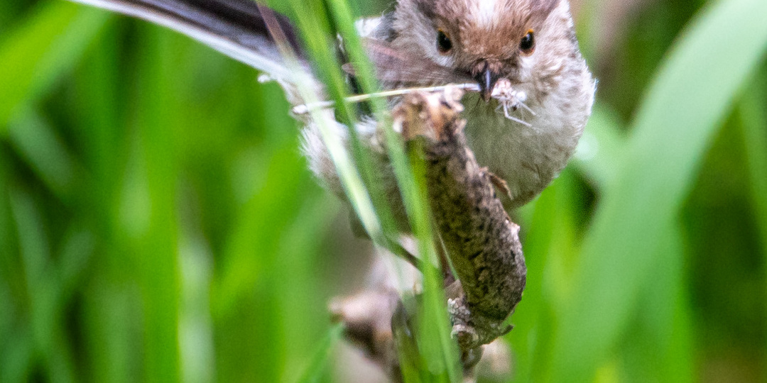 Солнечный остров, Краснодар 03.05.25
