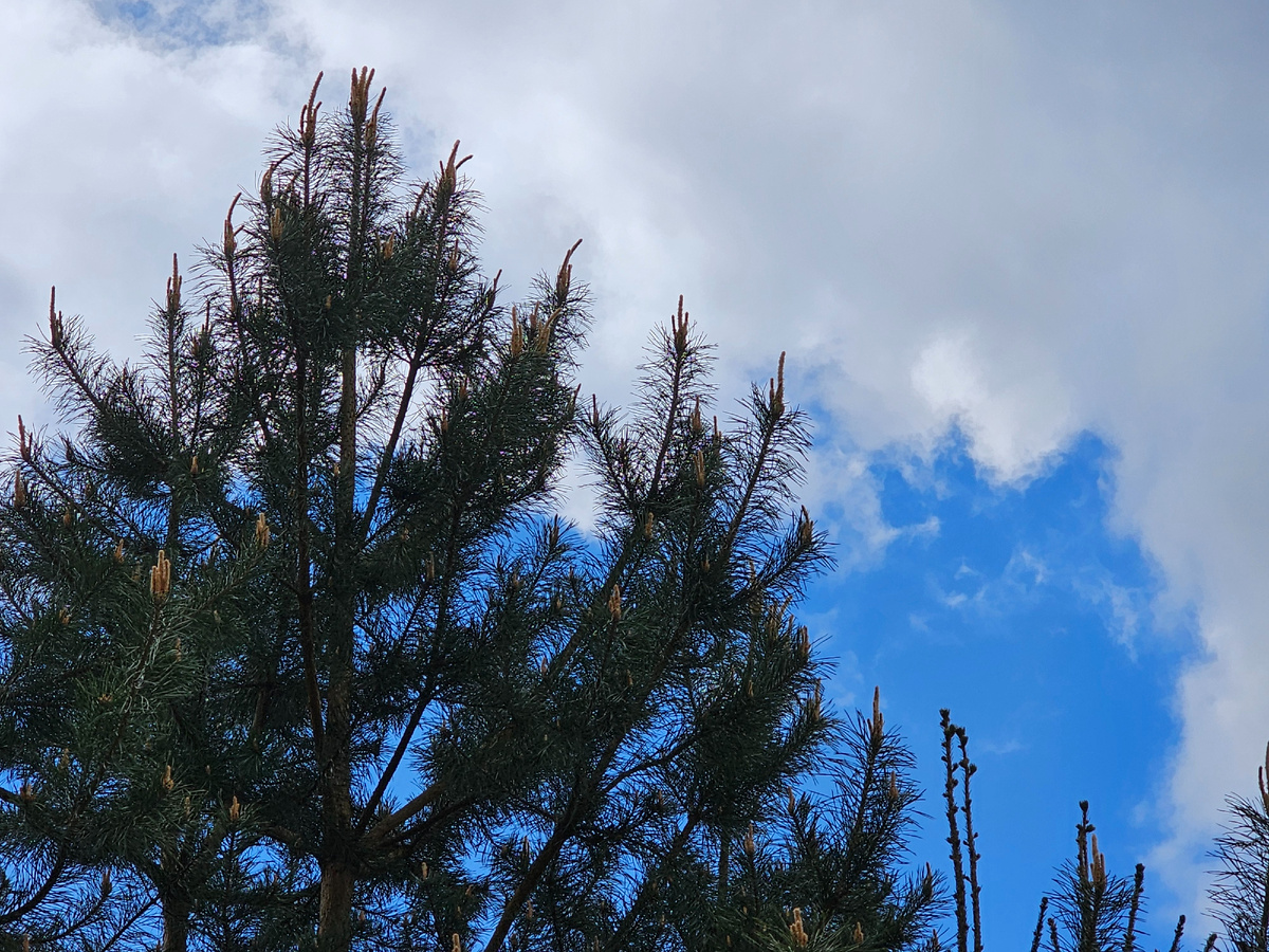 Все фото автора.