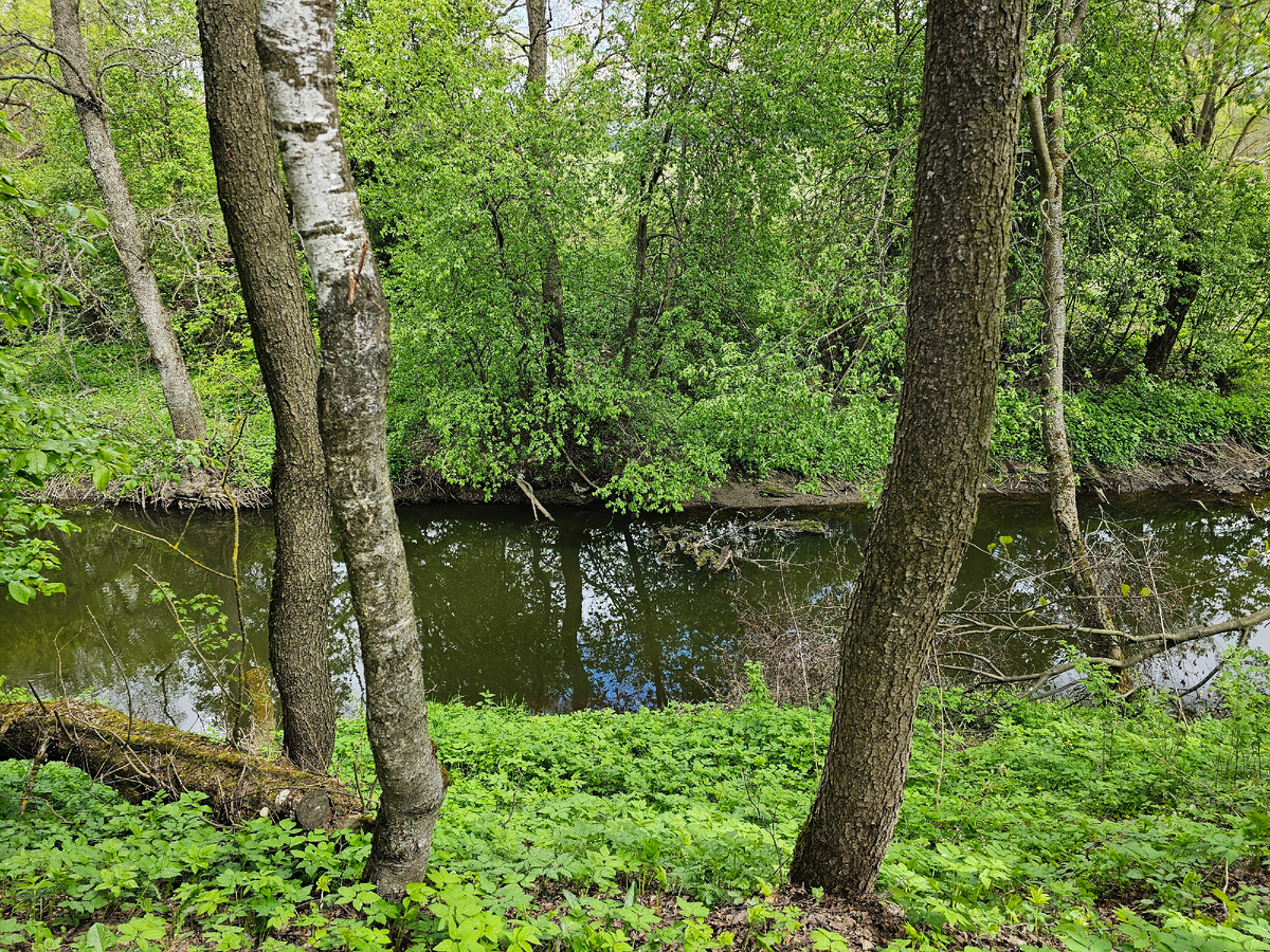 Река Лопасня. 