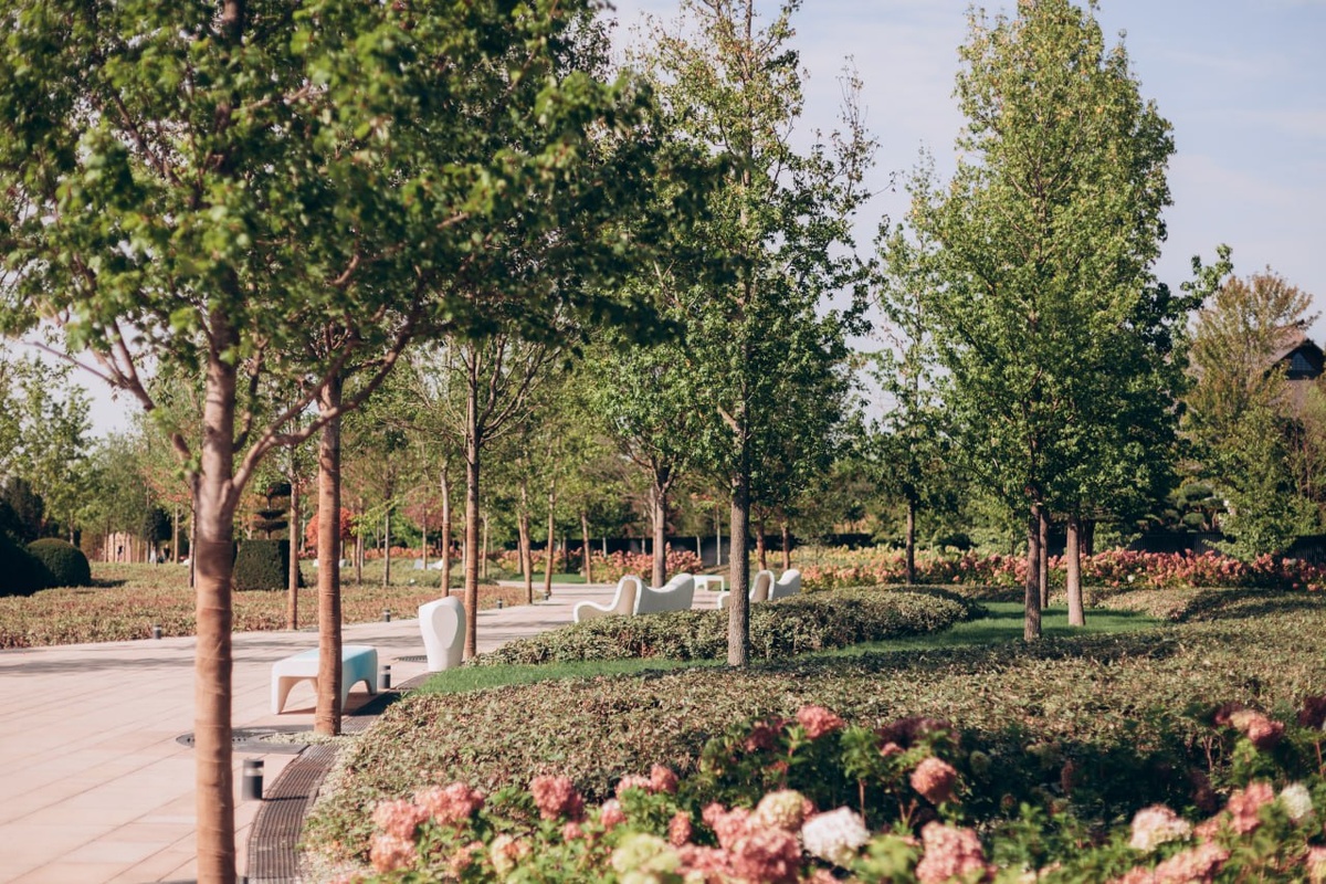 Парк Облаков