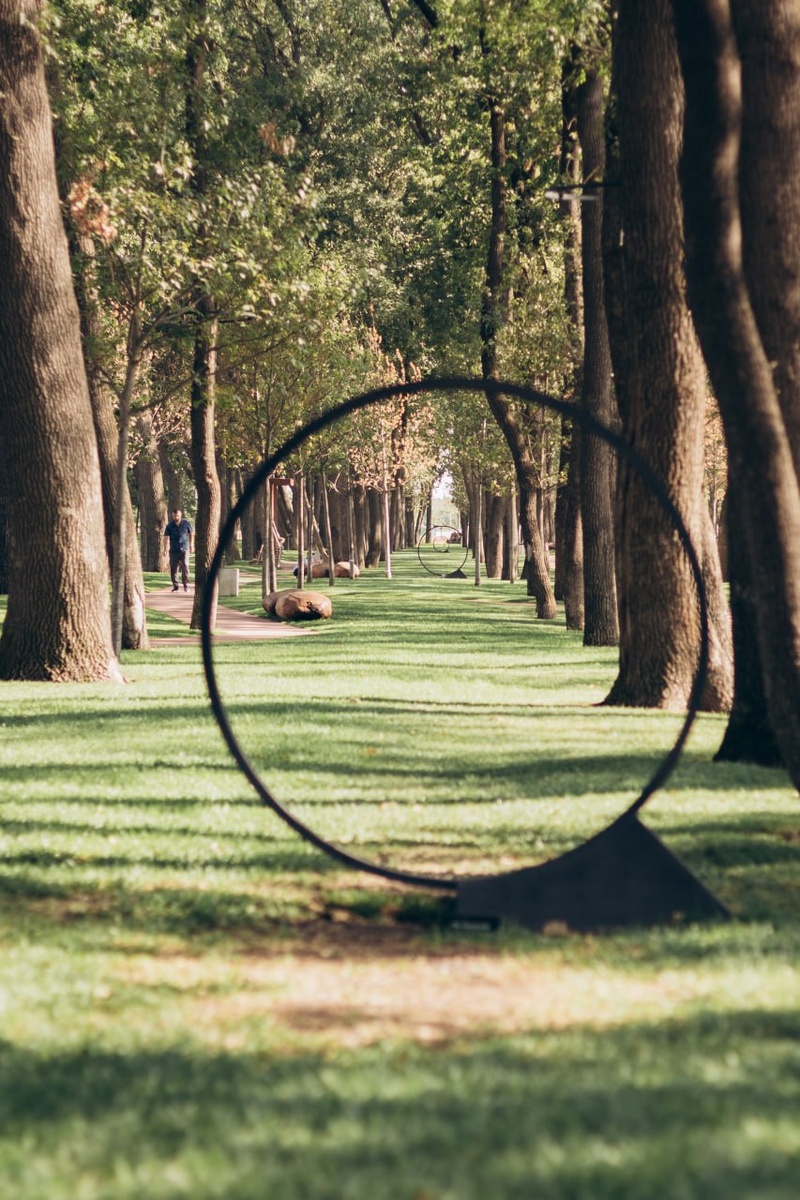 Дубовая аллея